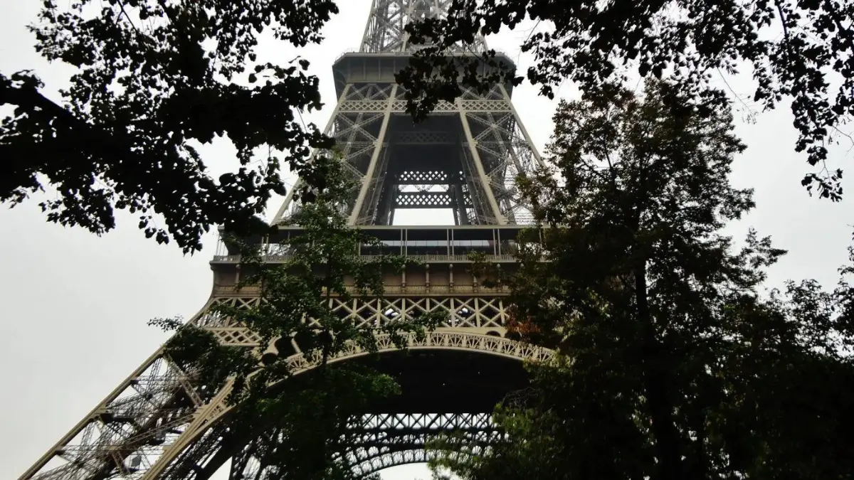 Eiffel Tower - Vania Wolf