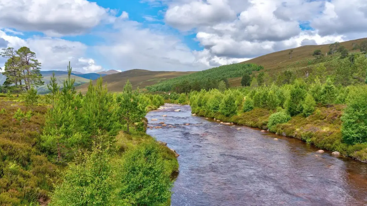 Cairngorms National Park Scotland